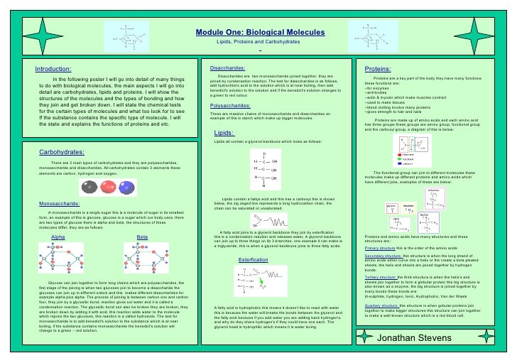12 c scientific posters