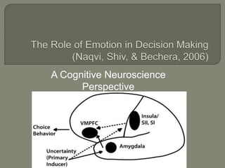 A Cognitive Neuroscience
Perspective
 