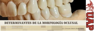 Determinantes de la Morfología Oclusal
Guía Condílea / Guía Anterior
C.D. Christian Alberto Buleje Toledo
 
