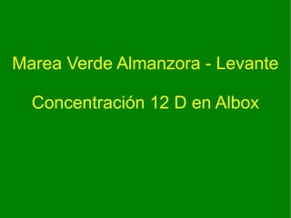 Marea Verde Almanzora - Levante

  Concentración 12 D en Albox
 