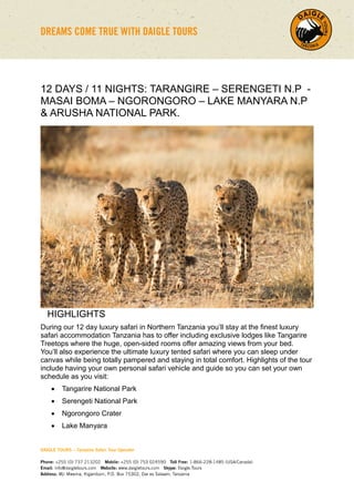 12 DAYS / 11 NIGHTS: TARANGIRE – SERENGETI N.P -
MASAI BOMA – NGORONGORO – LAKE MANYARA N.P
& ARUSHA NATIONAL PARK.
HIGHLIGHTS
During our 12 day luxury safari in Northern Tanzania you’ll stay at the finest luxury
safari accommodation Tanzania has to offer including exclusive lodges like Tangarire
Treetops where the huge, open-sided rooms offer amazing views from your bed.
You’ll also experience the ultimate luxury tented safari where you can sleep under
canvas while being totally pampered and staying in total comfort. Highlights of the tour
include having your own personal safari vehicle and guide so you can set your own
schedule as you visit:
 Tangarire National Park
 Serengeti National Park
 Ngorongoro Crater
 Lake Manyara
 