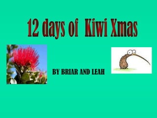 BY BRIAR AND LEAH 12 days of  Kiwi Xmas 