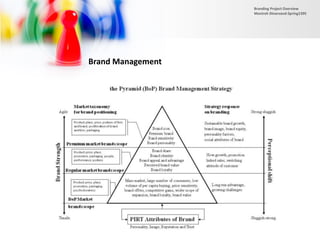 Brand Management
Branding Project Overview
Monireh Dinarvand-Spring1395
 