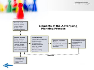 Branding Project Overview
Monireh Dinarvand-Spring1395
 