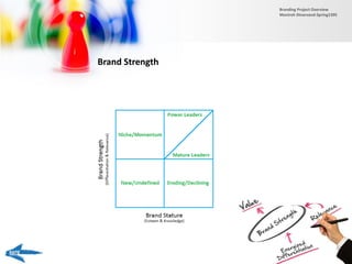 Brand Strength
Branding Project Overview
Monireh Dinarvand-Spring1395
 