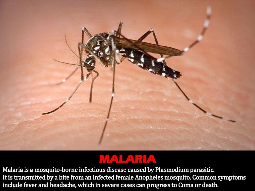 12 DEADLY HUMAN DISEASES OF ALL TIME