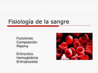 Fisiología de la sangre
Funciones
Composición
Plasma
Eritrocitos
Hemoglobina
Eritropoyesis
 