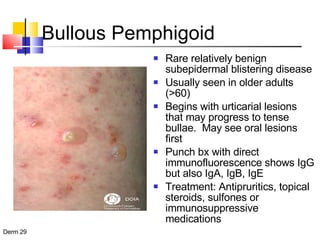 Bullous Pemphigoid Rare relatively benign subepidermal blistering disease Usually seen in older adults (>60) Begins with urticarial lesions that may progress to tense bullae.  May see oral lesions first Punch bx with direct immunofluorescence shows IgG but also IgA, IgB, IgE  Treatment: Antipruritics, topical steroids, sulfones or immunosuppressive medications  