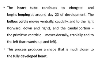 12 Development of the Cardiovascular System (2).pptx