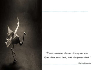 “É curioso como não sei dizer quem sou.
Quer dizer, sei-o bem, mas não posso dizer.”

                                Clarice Lispector
 