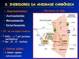2. INIBIDORES DA ANIDRASE CARBÔNICA 
 Representantes: 
• Acetazolamida 
• Metazolamida 
• Diclorfenamida 
 Mecanismo de ação: 
 Ef. na excreção urinária: 
•  HCO3-   pH (acidose metabólica) 
•  Na+, Cl-, K+, fosfato 
 Outras ações: 
•  Humor aquoso 
• anticonvulsivante  