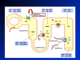 INIBIDORES DA ANIDRASE CARBÔNICA  