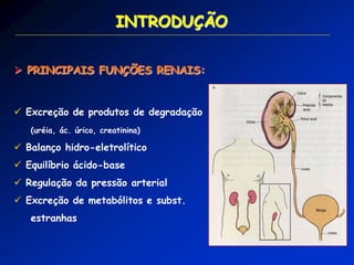 INTRODUÇÃO 
 Excreção de produtos de degradação 
(uréia, ác. úrico, creatinina) 
 Balanço hidro-eletrolítico 
 Equilíbrio ácido-base 
 Regulação da pressão arterial 
 Excreção de metabólitos e subst. 
estranhas 
 PRINCIPAIS FUNÇÕES RENAIS:  