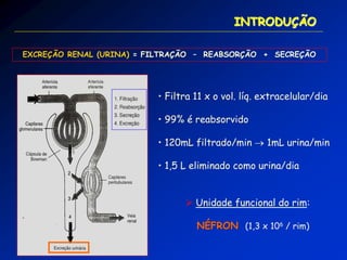 INTRODUÇÃO 
• Filtra 11 x o vol. líq. extracelular/dia 
• 99% é reabsorvido 
• 120mL filtrado/min  1mL urina/min 
• 1,5 L eliminado como urina/dia 
 Unidade funcional do rim: NÉFRON (1,3 x 106 / rim) 
EXCREÇÃO RENAL (URINA) = FILTRAÇÃO – REABSORÇÃO + SECREÇÃO  