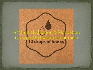 Swami Tirtha - 12 drops of honey - 2019 Summer Retreat. Bulgaria