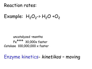 Enzyme Based H2o2 12 Enzymes 9 28 05.ppt