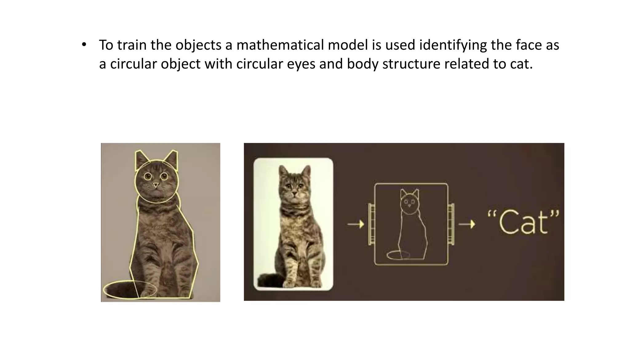 • To train the objects a mathematical model is used identifying the face as
a circular object with circular eyes and body structure related to cat.
 