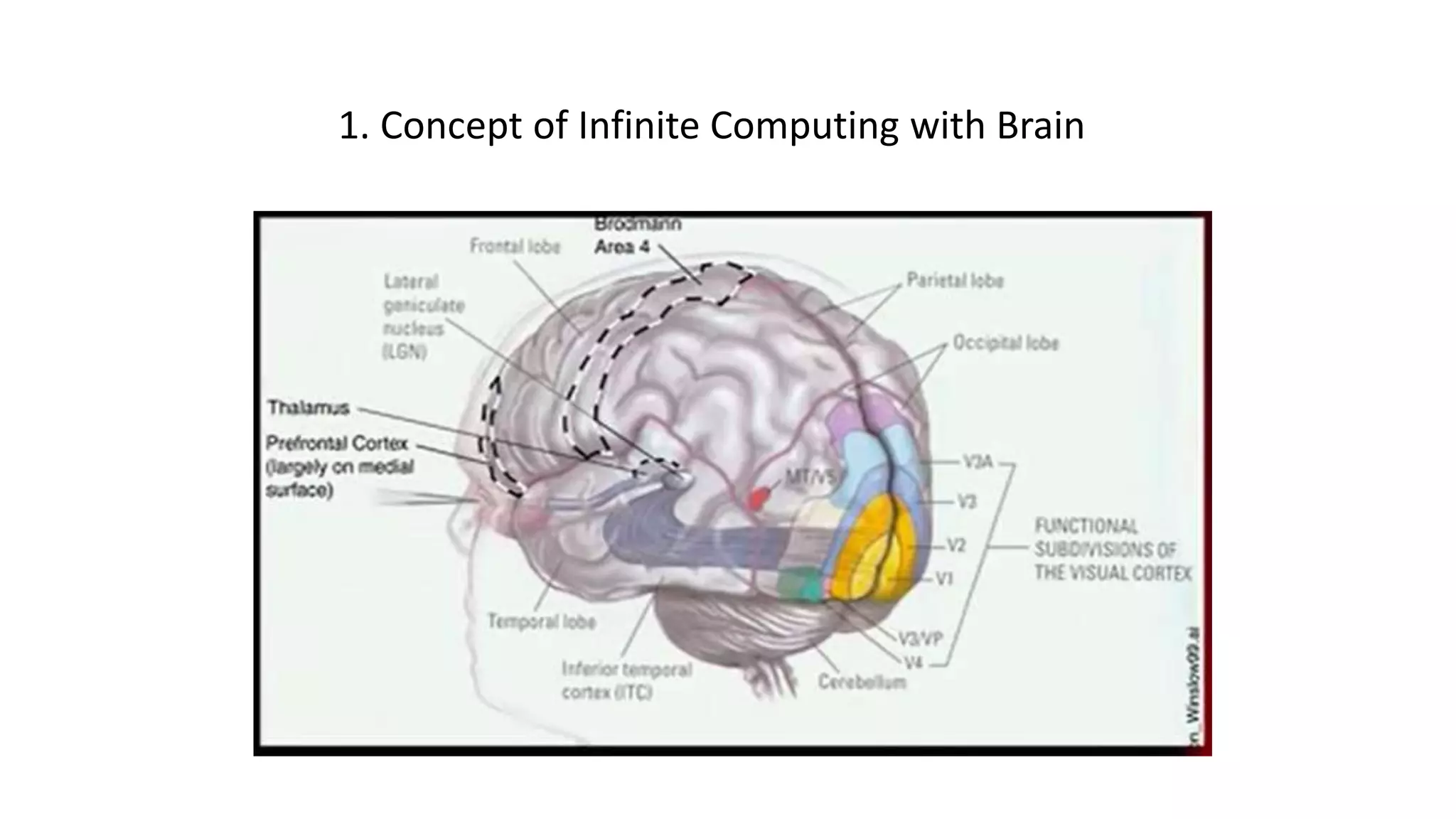 1. Concept of Infinite Computing with Brain
 