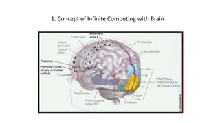 Is Infinite Computing Memory Computer Vision | PPTX