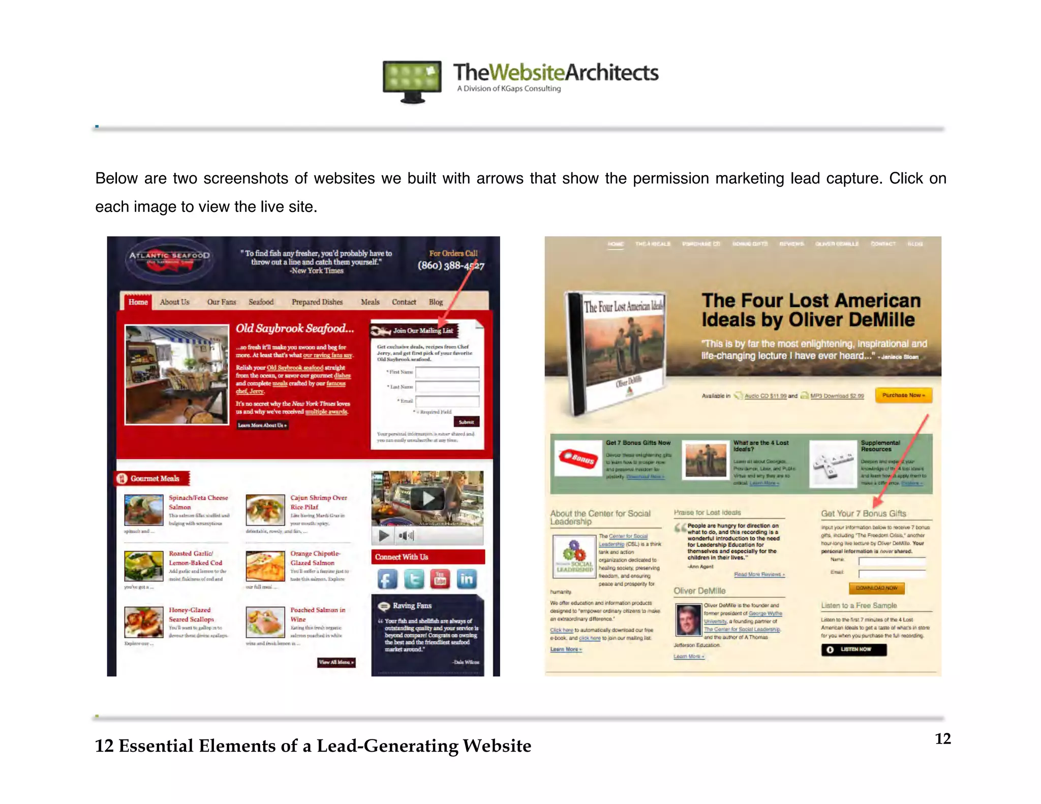  
                                                          	
  
	
  
	
  
	
  


Below are two screenshots of websites we built with arrows that show the permission marketing lead capture. Click on
each image to view the live site.




	
                          	
  
                                                                                                                  12
12 Essential Elements of a Lead-Generating Website
 