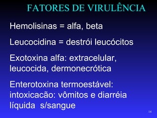 FATORES DE VIRULÊNCIA
Hemolisinas = alfa, beta
Leucocidina = destrói leucócitos
Exotoxina alfa: extracelular,
leucocida, dermonecrótica
Enterotoxina termoestável:
intoxicacão: vômitos e diarréia
líquida s/sangue
                                   14
 