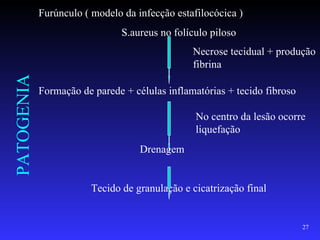 Furúnculo ( modelo da infecção estafilocócica )
                               S.aureus no folículo piloso
                                               Necrose tecidual + produção
                                               fibrina
PATOGENIA


            Formação de parede + células inflamatórias + tecido fibroso

                                                No centro da lesão ocorre
                                                liquefação
                                   Drenagem


                        Tecido de granulação e cicatrização final


                                                                          27
 