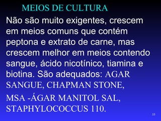 MEIOS DE CULTURA
Não são muito exigentes, crescem
em meios comuns que contém
peptona e extrato de carne, mas
crescem melhor em meios contendo
sangue, ácido nicotínico, tiamina e
biotina. São adequados: AGAR
SANGUE, CHAPMAN STONE,
MSA -ÁGAR MANITOL SAL,
STAPHYLOCOCCUS 110.                   55
 