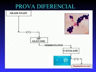 PROVA DIFERENCIAL




                    59
 