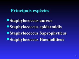 Principais espécies
 Staphylococcus aureus
 Staphylococcus epidermidis
 Staphylococcus Saprophyticus
 Staphylococcus Haemoliticus



                                 6
 