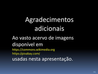 115
Agradecimentos
adicionais
Ao vasto acervo de imagens
disponível em
https://commons.wikimedia.org
https://pixabay.com/
usadas nesta apresentação.
 