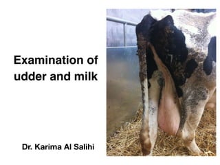 Examination of
udder and milk
Dr. Karima Al Salihi
 