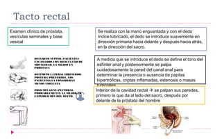 Tacto rectal
Se realiza con la mano enguantada y con el dedo
índice lubricado, el dedo se introduce suavemente en
dirección primaria hacia delante y después hacia atrás,
en la dirección del sacro.
Examen clínico de próstata,
vesículas seminales y base
vesical
A medida que se introduce el dedo se define el tono del
esfínter anal y posteriormente se palpa
cuidadosamente la pared del canal anal para
determinar la presencia o ausencia de papilas
hipertróficas, criptas inflamadas, estenosis o masas
tumorales
Interior de la cavidad rectal  se palpan sus paredes,
primero la que da al lado del sacro, después por
delante de la próstata del hombre
 