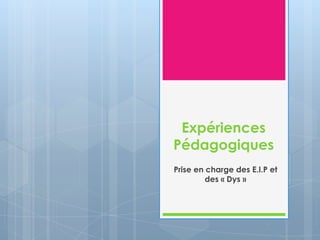 Expériences
Pédagogiques
Prise en charge des E.I.P et
des « Dys »

 