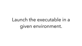 Launch the executable in a
given environment.
 
