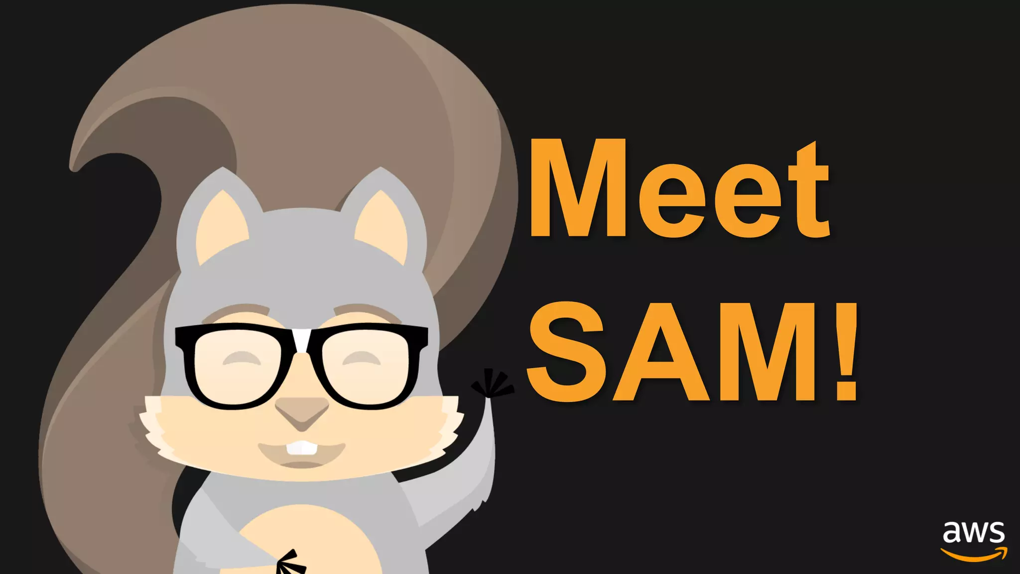 Meet
SAM!
 