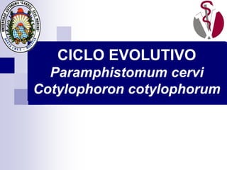 CICLO EVOLUTIVO
Paramphistomum cervi
Cotylophoron cotylophorum
 