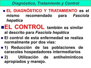 Diagnóstico, Tratamiento y Control
◼ EL DIAGNÓSTICO Y TRATAMIENTO es el
mismo recomendado para Fasciola
hepatica
◼EL CONTROL también es similar
al descrito para Fasciola hepática
◼ El control de esta enfermedad se realiza
normalmente por dos vías:
◼ 1) Reducción de las poblaciones de
caracoles hospedadores intermediarios
◼ 2) Utilización de antihelmínticos
apropiados y manejo.
 