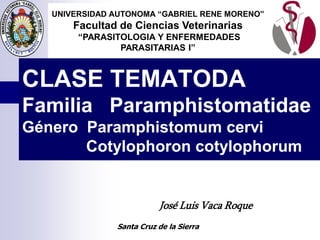 José Luis Vaca Roque
UNIVERSIDAD AUTONOMA “GABRIEL RENE MORENO”
Facultad de Ciencias Veterinarias
“PARASITOLOGIA Y ENFERMEDADES
PARASITARIAS I”
Santa Cruz de la Sierra
CLASE TEMATODA
Familia Paramphistomatidae
Género Paramphistomum cervi
Cotylophoron cotylophorum
 