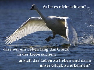 dass wir ein Leben lang das Glück  in der Liebe suchen; 6) Ist es nicht seltsam? ... anstatt das Leben zu lieben und darin unser Glück zu erkennen?  