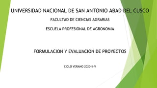 UNIVERSIDAD NACIONAL DE SAN ANTONIO ABAD DEL CUSCO
FACULTAD DE CIENCIAS AGRARIAS
ESCUELA PROFESIONAL DE AGRONOMIA
FORMULACION Y EVALUACION DE PROYECTOS
CICLO VERANO 2020-II-V
 