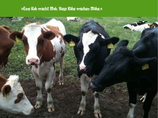 »Eine Kuh macht Muh. Viele Kühe machen Mühe.«
 