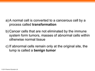 © 2015 Pearson Education Ltd
a) A normal cell is converted to a cancerous cell by a
process called transformation
b) Cancer cells that are not eliminated by the immune
system form tumors, masses of abnormal cells within
otherwise normal tissue
c) If abnormal cells remain only at the original site, the
lump is called a benign tumor
 