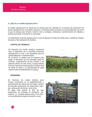 Módulo 
Gestión Crediticia 
4. ¿Qué es un crédito Agropecuario? 
El crédito agropecuario es aquel que se otorga para ser utilizado en el proceso de producción de 
bienes agropecuarios, acuícolas y de pesca, su transformación primaria y/o comercialización así como 
el que se otorga para minería, turismo rural y ecológico, artesanías, transformación de metales y 
piedras preciosas, incluyendo su mercadeo 
La financiación al sector agropecuario y rural se agrupa en líneas de crédito para: Capital de Trabajo, 
Inversión y Normalización de Cartera. 
CAPITAL DE TRABAJO: 
INVERSIÓN: 
Se financian los costos directos necesarios 
para el desarrollo de la actividad productiva 
agropecuaria o rural, y los requeridos para su 
comercialización o transformación. 
Es el dinero (o capital) que se requiere para 
pagar la operación de una actividad (pago de 
nominas, sostenimiento de los cultivos, y en 
general cultivos de ciclo corto), no para realizar 
nuevas inversiones de largo plazo. El plazo será 
de hasta (2) años y su periodicidad de pago 
máximo será trimestralmente (3 meses). 
Se financian los costos directos para 
nuevas inversiones en el establecimiento y 
sostenimiento de cultivos de ciclo largo, compra 
de animales, adquisición de maquinaria y equi-pos, 
adecuación de tierras, entre otros. 
El plazo será acorde al flujo de caja 
presentado, sin embargo en proyectos ga-naderos 
se manejan plazos entre 5 a 8 años, 
con periodicidad de pago semestral o anual. 
12 
Ruth Alvarez 
Juan Fernando Cardona 
 