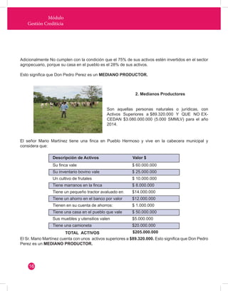 Módulo 
Gestión Crediticia 
Adicionalmente No cumplen con la condición que el 75% de sus activos estén invertidos en el sector 
agropecuario, porque su casa en el pueblo es el 28% de sus activos. 
Esto significa que Don Pedro Perez es un MEDIANO PRODUCTOR. 
Son aquellas personas naturales o jurídicas, con 
Activos Superiores a $89.320.000 Y QUE NO EX-CEDAN 
$3.080.000.000 (5.000 SMMLV) para el año 
2014. 
El señor Mario Martínez tiene una finca en Pueblo Hermoso y vive en la cabecera municipal y 
considera que: 
El Sr. Mario Martínez cuenta con unos activos superiores a $89.320.000. Esto significa que Don Pedro 
Perez es un MEDIANO PRODUCTOR. 
2. Medianos Productores 
Descripción de Activos Valor $ 
Su finca vale $ 60.000.000 
$ 25.000.000 
$ 10.000.000 
$ 8.000.000 
$14.000.000 
$12.000.000 
$ 1.000.000 
$ 50.000.000 
$5.000.000 
$20.000.000 
$205.000.000 
Su inventario bovino vale 
Un cultivo de frutales 
Tiene marranos en la finca 
Tiene un pequeño tractor avaluado en 
Tiene un ahorro en el banco por valor 
Tienen en su cuenta de ahorros: 
Tiene una casa en el pueblo que vale 
Sus muebles y utensilios valen 
Tiene una camioneta 
TOTAL ACTIVOS 
16 
 