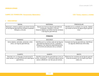 159
Guía curricular C.A.M.
APRENDIZAJES ESPERADOS
CAMPO DE FORMACIÓN: Pensamiento Matemático EJE: Forma, espacio y medida
6.	 Figuras geométricas
INICIAL MATERNAL PREESCOLAR
Manipula y observa objetos que tienen formas
de las figuras geométricas simples (cuadrado,
triángulo y círculo).
Separa por forma la figuras geométricas
(cuadrado, triángulo y círculo)
Observa objetos que tienen formas similares
a las figuras geométricas.
Identifica en su contexto con ayuda, objetos
que tienen la forma de alguna figura geomé-
trica.
PRIMARIA
PRIMERO SEGUNDO TERCERO
Arma objetos, animales, personas, entre
otros, con figuras geométricas.
Identifica por su nombre cada de las figuras
geométricas básicas (círculo, cuadrado y
triángulo) y los relaciona espontáneamente
con la forma de artículos de su contexto.
Compara las figuras geométricas, identifican-
do algunas diferencias entre ellas.
CUARTO QUINTO SEXTO
Describe con un lenguaje convencional (lí-
neas rectas y curvas) la forma de cada figura
geométrica.
Identifica otras figuras geométricas como el
rombo, rectángulo, y encuentra alguna seme-
janza o diferencia con las que ya conoce.
Relaciona los nombres de las figuras geomé-
tricas de acuerdo con los lados que tiene
cada una.
 