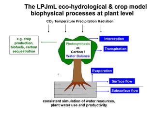 The LPJmL eco-hydrological & crop model
            biophysical processes at plant level
                     CO2 Temperature Precipitation Radiation




    e.g. crop                                          Interception
  production,                   Photosynthesis
biofuels, carbon                                      Transpiration
 sequestration                    Carbon /
                                Water Balance
                                                                  Water resources
     Crop yields


                                                 Evaporation


                                                           Surface flow

                                                           Subsurface flow


                   consistent simulation of water resources,
                       plant water use and productivity
 .
 