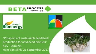 “Prospects of sustainable feedstock
production for advanced biofuels”
Kiev - Ukraine,
Hans van Klink, 21 September 2017
 