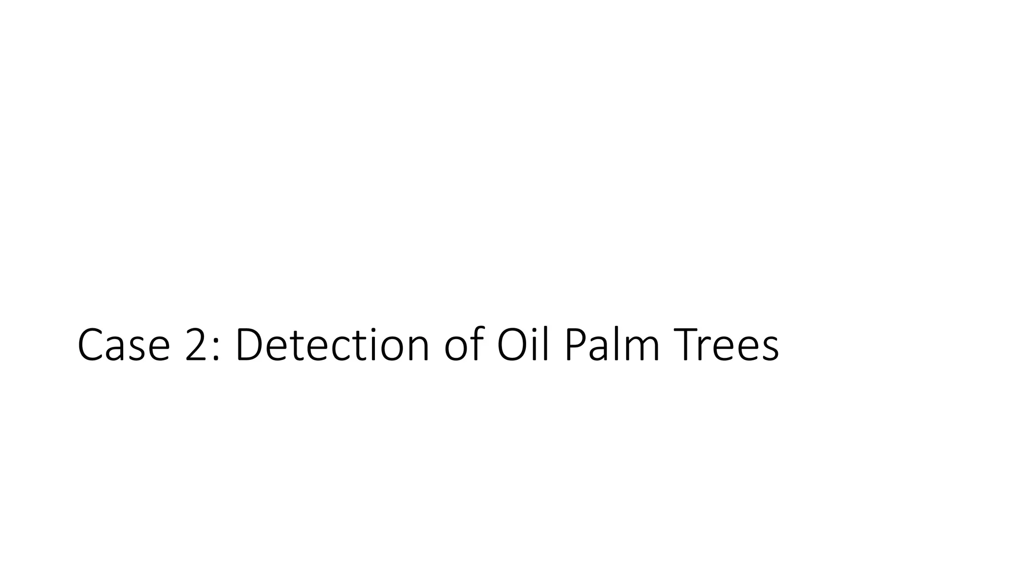 Case 2: Detection of Oil Palm Trees
 