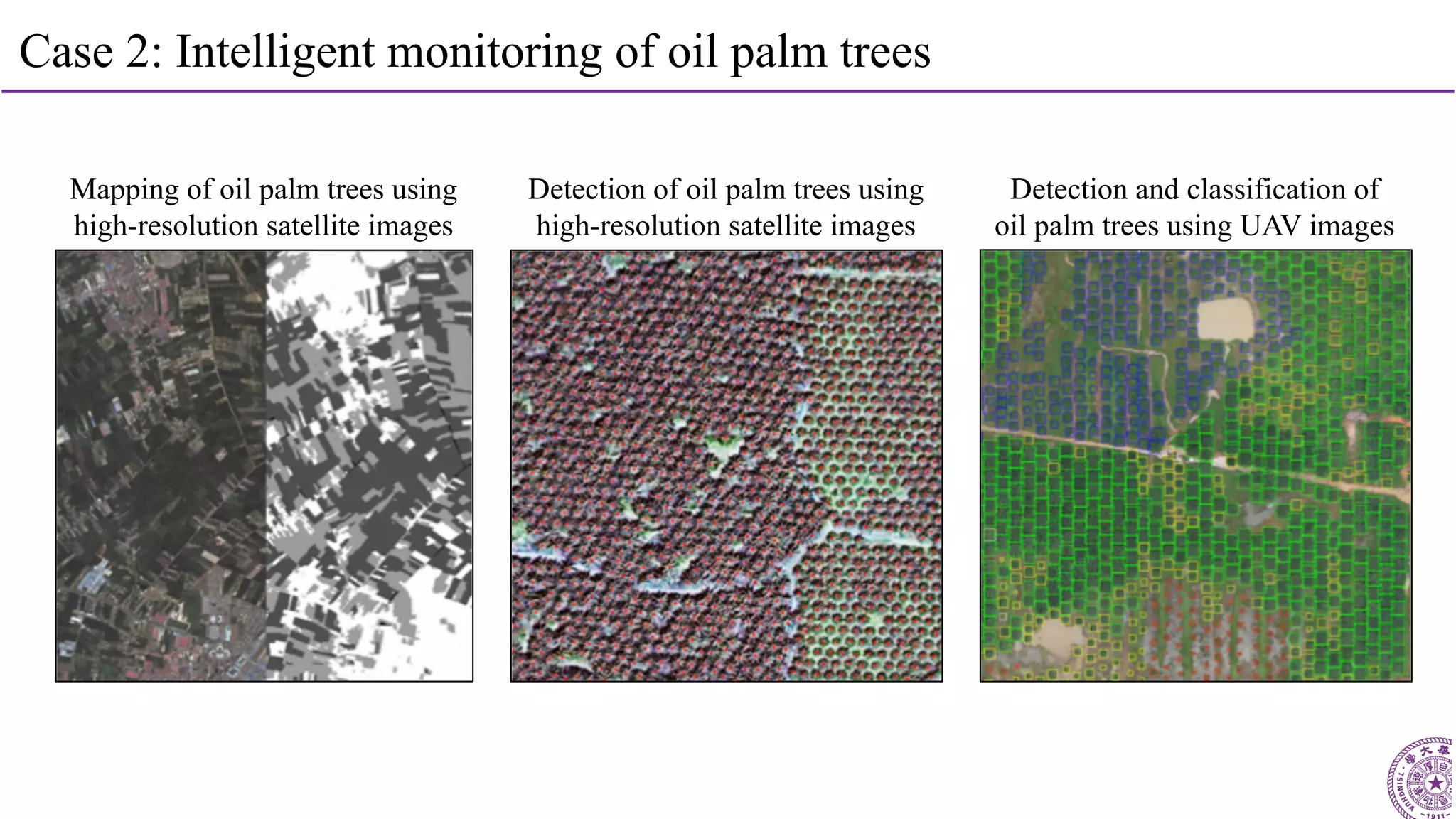 29
Case 2: Intelligent monitoring of oil palm trees
Detection and classification of
oil palm trees using UAV images
Detection of oil palm trees using
high-resolution satellite images
Mapping of oil palm trees using
high-resolution satellite images
 