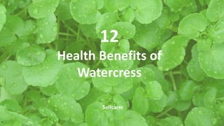 12
Health Benefits of
Watercress
 